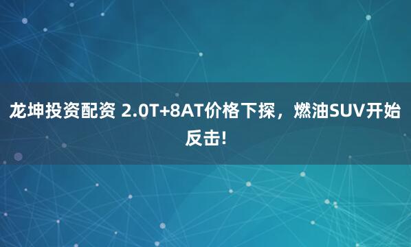 龙坤投资配资 2.0T+8AT价格下探，燃油SUV开始反击!