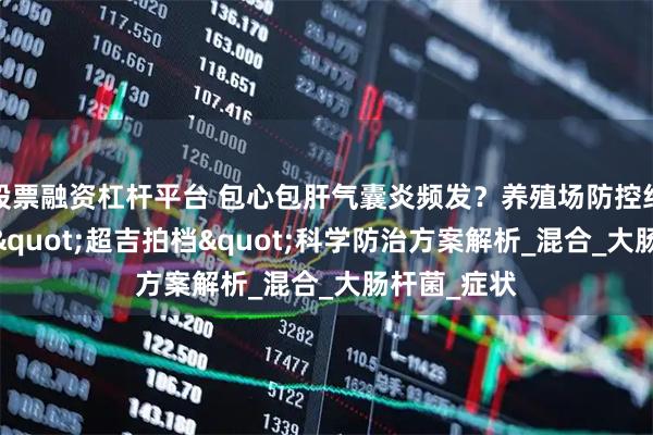 股票融资杠杆平台 包心包肝气囊炎频发？养殖场防控经验分享——"超吉拍档"科学防治方案解析_混合_大肠杆菌_症状