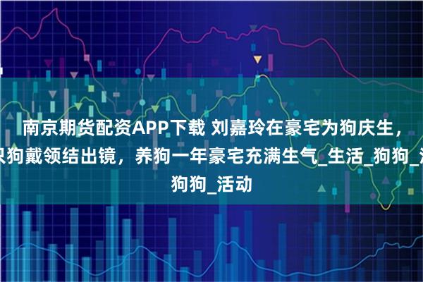 南京期货配资APP下载 刘嘉玲在豪宅为狗庆生，两只狗戴领结出镜，养狗一年豪宅充满生气_生活_狗狗_活动
