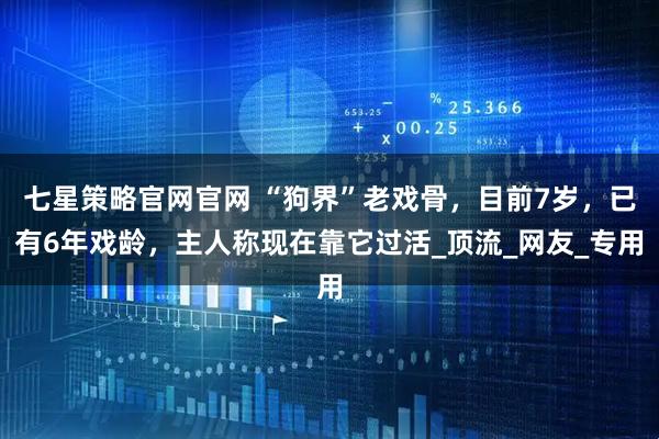 七星策略官网官网 “狗界”老戏骨，目前7岁，已有6年戏龄，主人称现在靠它过活_顶流_网友_专用