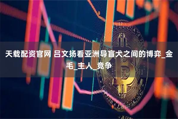 天载配资官网 吕文扬看亚洲导盲犬之间的博弈_金毛_主人_竞争