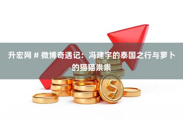 升宏网 # 微博奇遇记：冯建宇的泰国之行与萝卜的猫猫祟祟